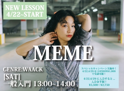 NEW LESSON【MEME】